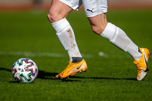 才能在未来 才能在未来